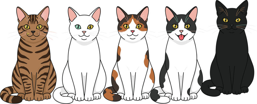 Cat illustration collection, domestic feline artwork, tabby calico tuxedo black white design composition, pet motif vector set, stylized animal graphics