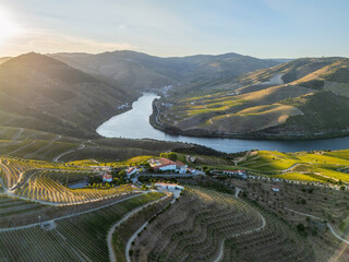 Fototapeta premium Drone view of a vineyard estate and small village beside the Douro River in Portugal's Douro Valley at sunset.