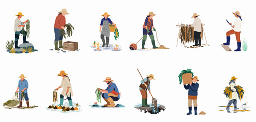 Fototapeta premium Collection of illustrations depicting various people harvesting, gathering, and drying seaweed in coastal environments, presented in a flat vector style.