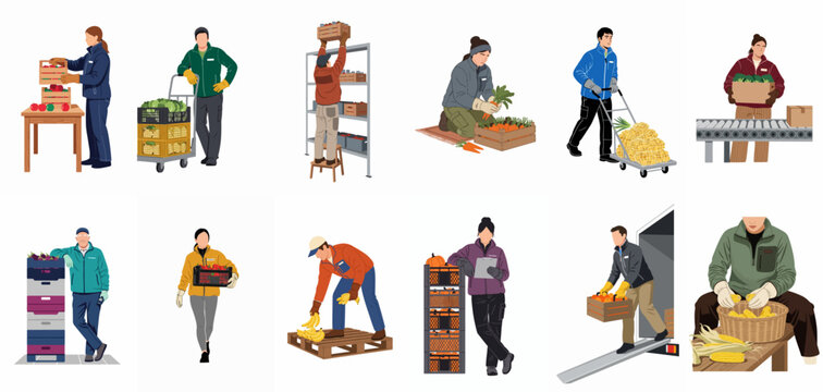 Flat illustrations of food bank workers and volunteers sorting, packing, and distributing fresh fruits and vegetables in a warehouse setting.