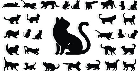 Fototapeta premium Adobe Illustrator Artwork