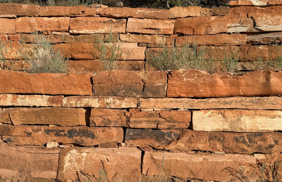 NM SF Sandstone Wall with Chamisas 2026