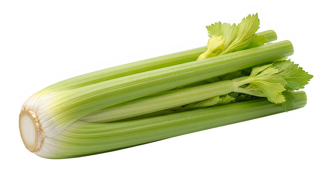 Fresh green celery stalks