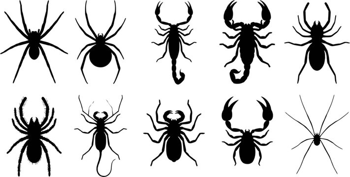 Spiders and Scorpions Arachnid Silhouettes Set