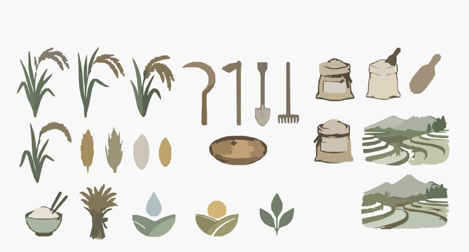 Decorative Rice Harvest and Grain Field Vector Illustration Bundle