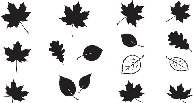 Collection of various black and white leaf silhouettes