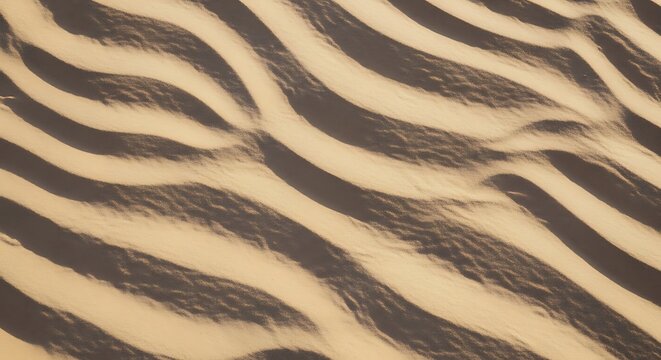 top view of zebra skin texture