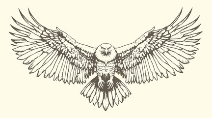 Fototapeta premium eagle with wings spread wide monochrome sketch predator wildlife illustration monochrome detailed feathers intelligent mythology knowledge nocturnal strength majestic