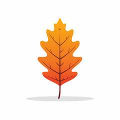 Fototapeta premium Autumn Oak Leaf Illustration