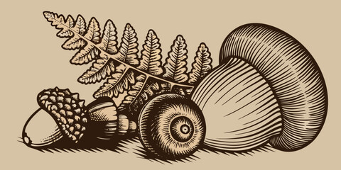 Woodland elements collection acorns ferns and pinecone in engraving style © Prosanta