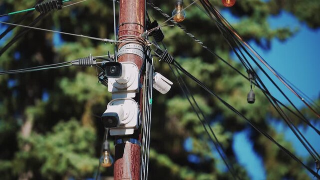 Security cameras mounted on pole with tangled wires and string lights above trees.