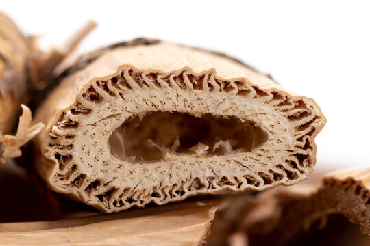 Chinese Hebei Produced Chinese Medicinal Material Lugen