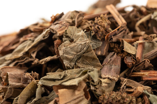 Chinese Sichuan Produced Chinese Medicinal Material Houttuynia Cordata White Background