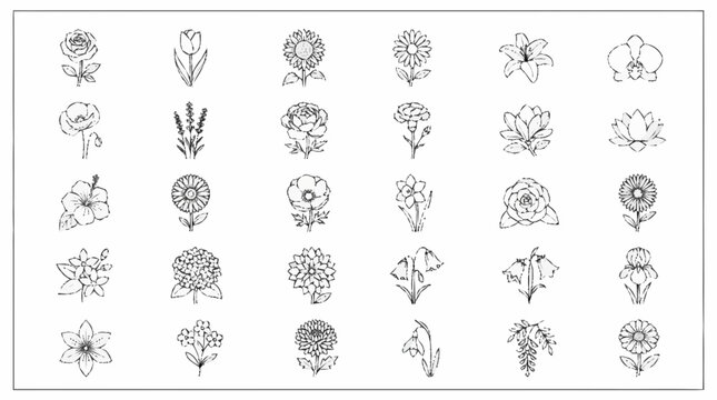 Collection of various flowers