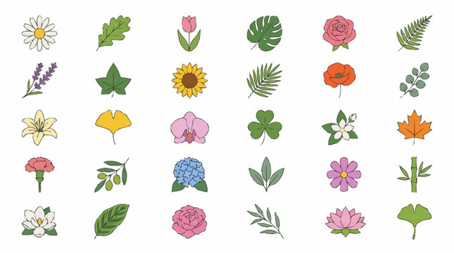 Collection of various colorful flowers and leaves