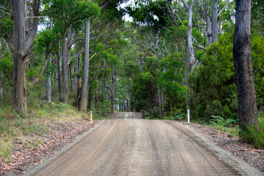 Lighthouse Road C629 on Bruny Island - Tasmania