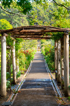 Government Gardens in Port Arthur Convict Site - Tasmania