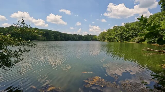Slow-motion view of the spring-fed lake at Weldon Springs State Park, Illinois. Dramatic clouds reflect on tranquil water with insects over a swampy shoreline in the foreground.