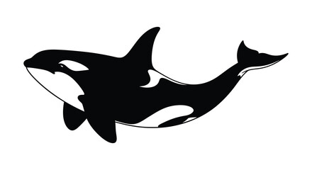 Orca whale silhouette against a white background © AlhamdulillahAdobe