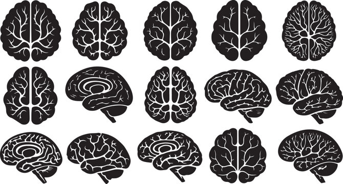Collection of black and white brain illustrations