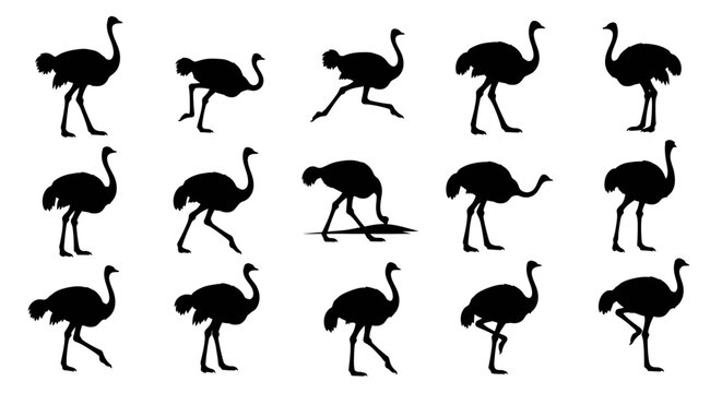Silhouette images of ostriches in various dynamic poses and movements