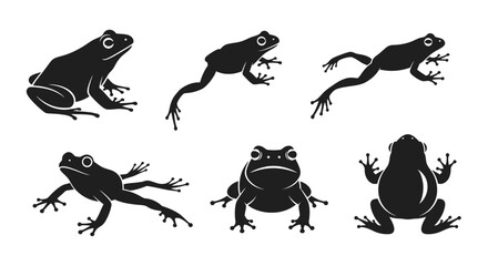 Obraz premium Silhouettes of frogs in various poses and positions, representing amphibians in different actions and anatomical views