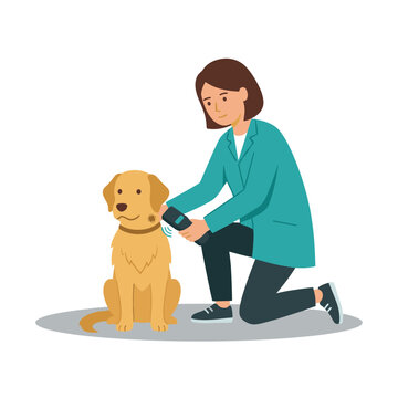 Veterinarian scanning a dog with a microchip reader
