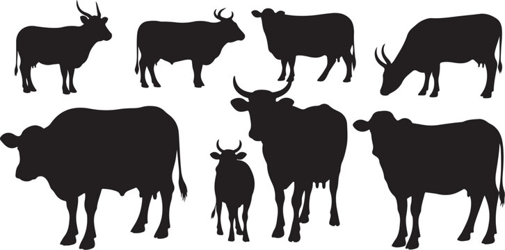 Black silhouettes of cows and bulls standing together
