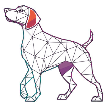 Linear geometric pointer dog with colored ear tip.