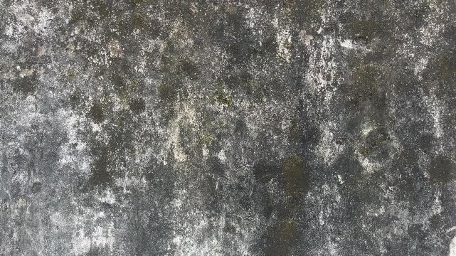 Texture concrete wall of light grey color cement texture background.Grey pastel rough crack cement texture stone concrete,rock plastered stucco wall; painted flat fade background. Side view. close up.