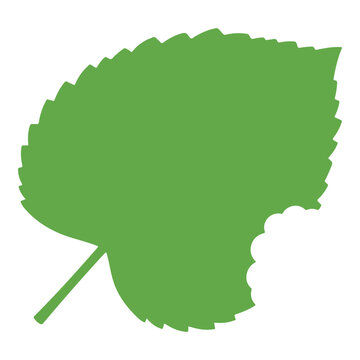 Green Leaf with Bite Marks Silhouette.