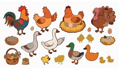 Farm bird cartoon vector set chickens ducks geese eggs nest © Wahida