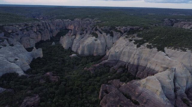Parque Nacional da Serra da Capivara, a Caatinga biome in northeastern Brazil.