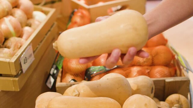 Customer Inspecting and Selecting Organic Butternut Squash in Grocery Store