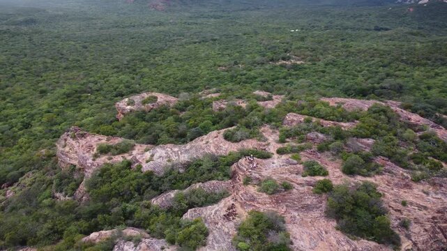 Parque Nacional da Serra da Capivara, a Caatinga biome in northeastern Brazil.