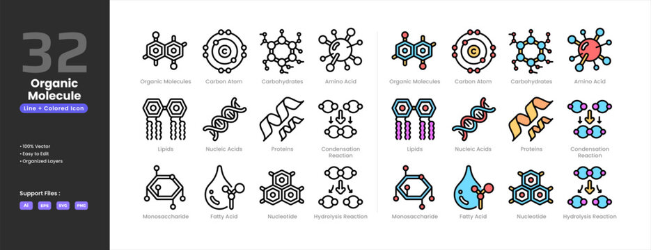 Organic molecule icon set collection - colored outline line art style. Carbon atom carbohydrates Condensation Hydrolysis  Reaction Fatty Acid Lipids Monosaccharide Nucleic Acids Nucleotide Proteins.