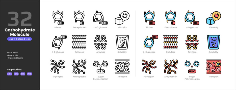 Carbohydrate molecule icon set collection - colored outline line art style. Amylopectin Amylose Cellulose Deoxyribose Glycogen Ribose Solubility Alpha Beta D glucose Sugar Polymerisation Transport