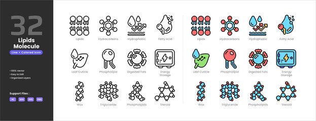 Obraz premium Lipids icon set collection - colored outline line art style.Digested fats Energy Storage Fatty Acids Hydrocarbons Hydrophobic Leaf Cuticles Phospholipid Molecule Phospholipids Steroid Triglyceride Wax