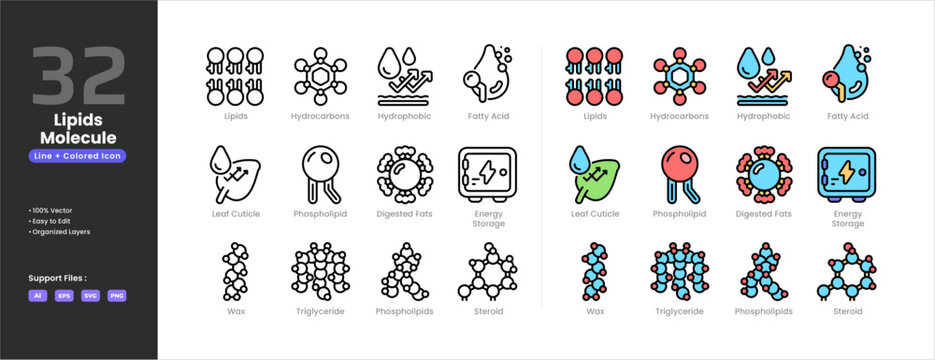 Lipids icon set collection - colored outline line art style.Digested fats Energy Storage Fatty Acids Hydrocarbons Hydrophobic Leaf Cuticles Phospholipid Molecule Phospholipids Steroid Triglyceride Wax