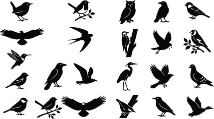 Fototapeta premium Bird Silhouette Vector Collection Featuring Flying Perching and Wild Avian Species Isolated on White Background