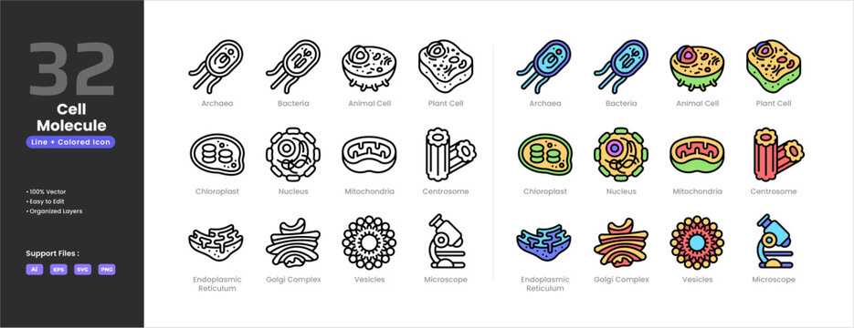 Cell biology icon set collection - colored outline line art Animal Cell Archaea Bacteria Centrosome Chloroplast Endoplasmic Reticulum Golgi Complex Microscopes Mitochondria Nucleus Plant Cell Vesicles