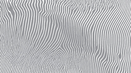Abstract elevation map with flowing contour line pattern Topographic vector background with elegant white texture © VECTOR HOUSE