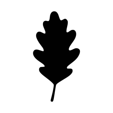 Black silhouette of an oak leaf with leaf shape plant part oak tree leaf pattern silhouette