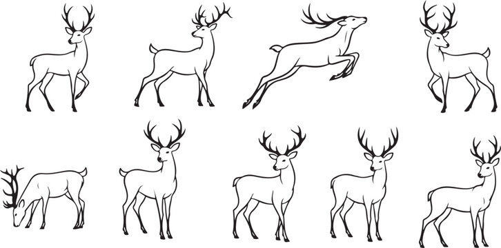 Set of deer illustrations in various poses running