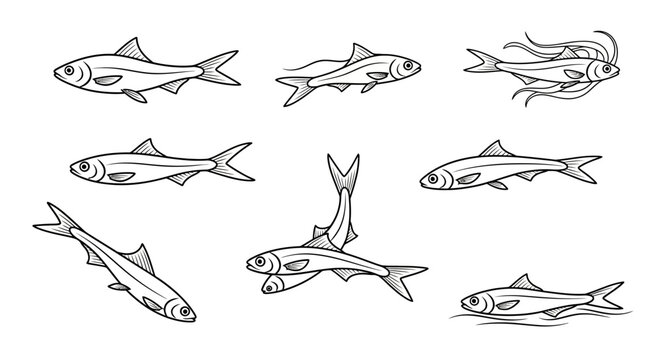 Fish sketches set, isolated hand drawn aquatic animals for design