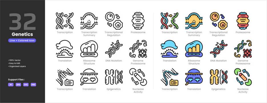 Genetics icon set collection colored outline line art style. Transcription summary regulation genome proteasome translation ribosome structure DNA mutation transcription epigenetics nuclease acitivity