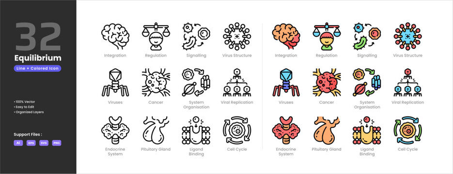 Equilibrium icon set collection - colored outline line art. Regulation integration signaling virus replication bacteriophage cancer system endocrine system pituitary gland ligand binding cell cycle