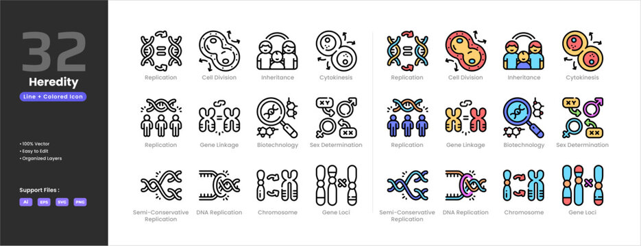 Heredity icon set collection - colored outline line art style. Containing DNA replication cell division inheritance cytokinesis gene linkage biotechnology sex determination chromosome gene loci.