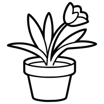 Black line drawing of potted plant with flower