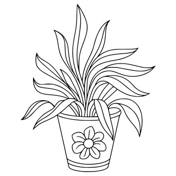 Black line drawing of potted plant with flower